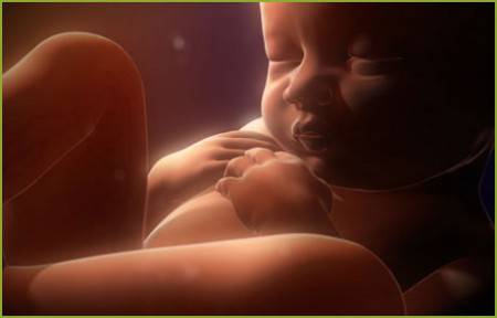 feto alla 37 settimana di gravidanza